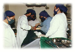 Malalai Hospital doctors also operated patients