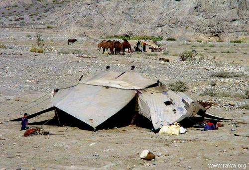 afghan nomads